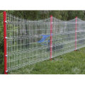 3D Type Welded Fencing Garden Fence